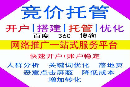 专业sem托管服务案例，揭秘广告投放优化策略